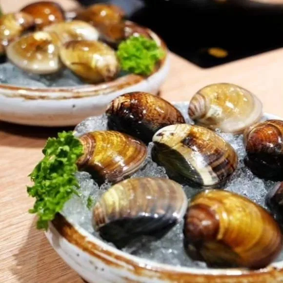 冰盤上的多顆蛤蜊近景